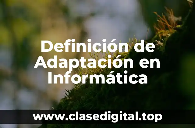 Definición de Adaptación en Informática