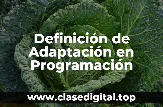 Definición de Adaptación en Programación