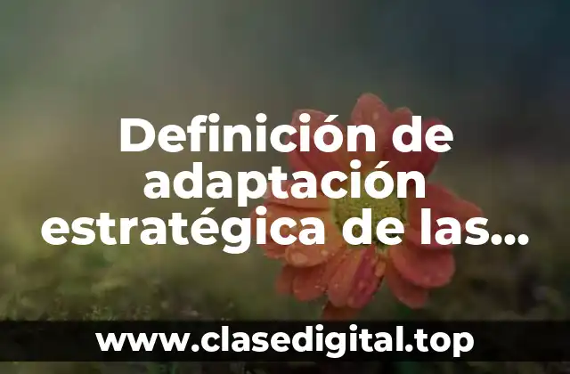 Definición de adaptación estratégica de las empresas