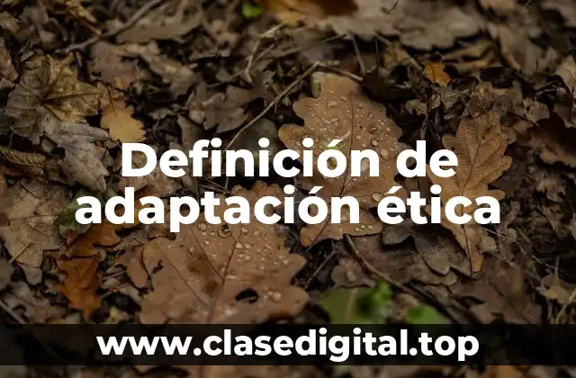 Definición de adaptación ética