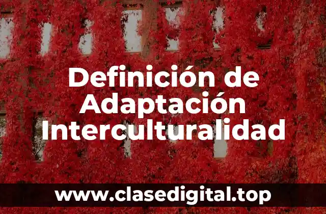 Definición de Adaptación Interculturalidad