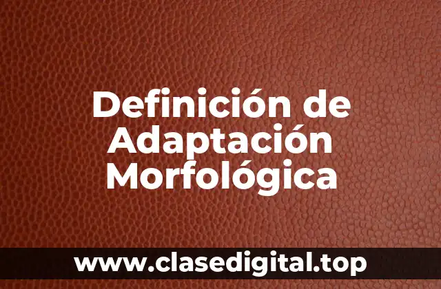 Definición Técnica de Adaptación Morfológica