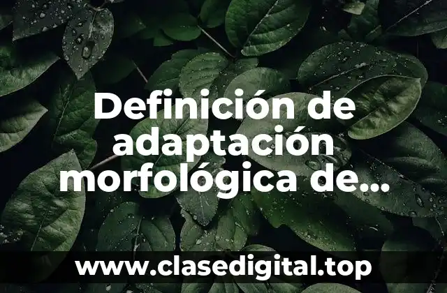 Definición de adaptación morfológica de animales