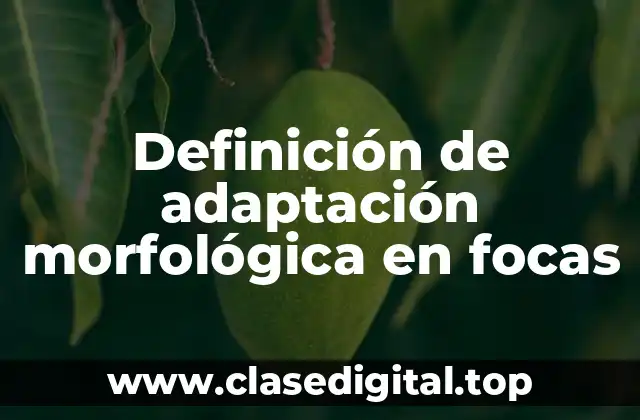 Definición de adaptación morfológica en focas