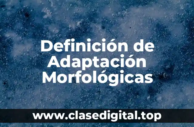 Definición de Adaptación Morfológicas