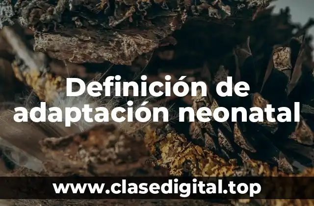 Definición de adaptación neonatal