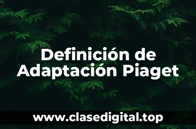 Definición de Adaptación Piaget