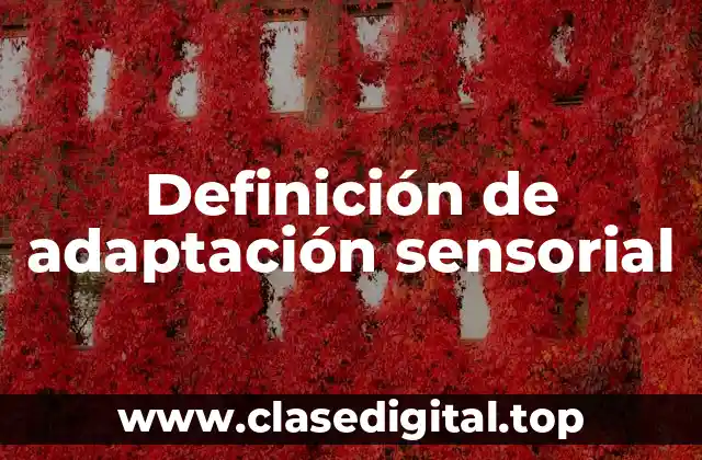 Definición de adaptación sensorial