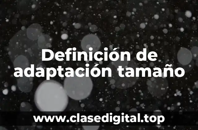 Definición de adaptación tamaño