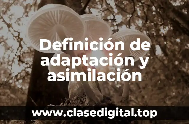 Definición de adaptación y asimilación
