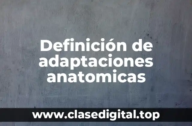 Definición de adaptaciones anatomicas