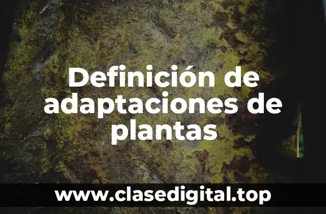 Ejemplos de adaptaciones de plantas