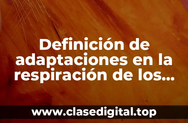 Definición de adaptaciones en la respiración de los mamíferos