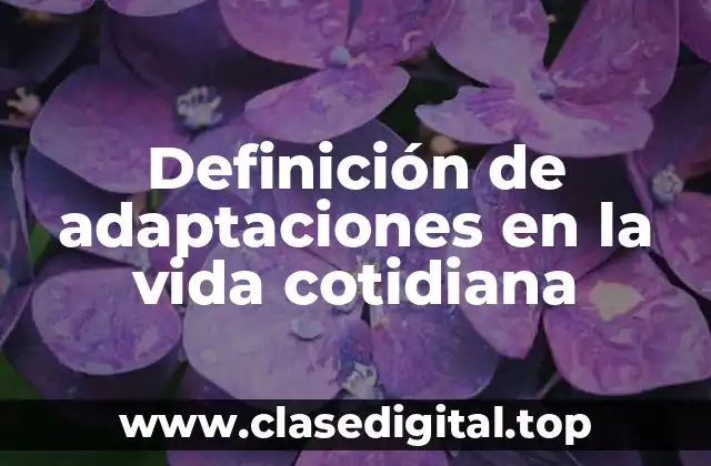 Definición de adaptaciones en la vida cotidiana