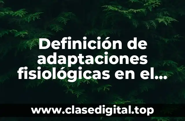 Definición de adaptaciones fisiológicas en el trabajo