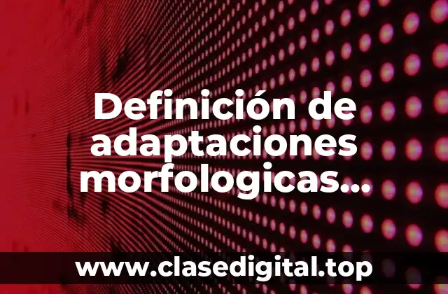 Definición de adaptaciones morfologicas camuflaje