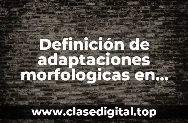Definición de adaptaciones morfologicas en jaguar