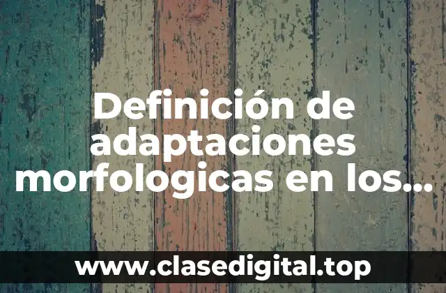 Definición de adaptaciones morfologicas en los animales para su alimentación