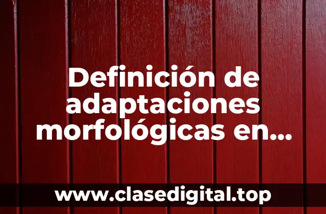 Definición de adaptaciones morfológicas en plantas