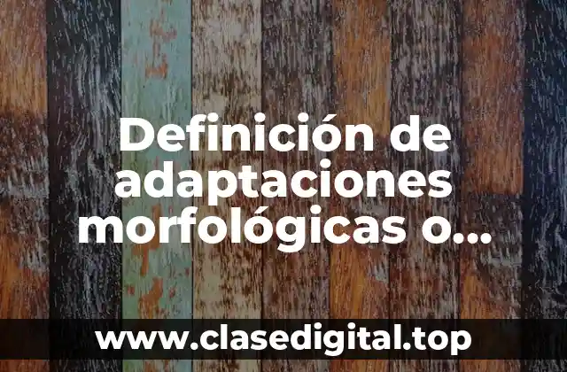 Definición de adaptaciones morfológicas o anatómicas