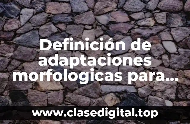 Definición de adaptaciones morfologicas para colorear