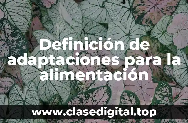 Definición de adaptaciones para la alimentación