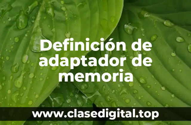 Definición de adaptador de memoria