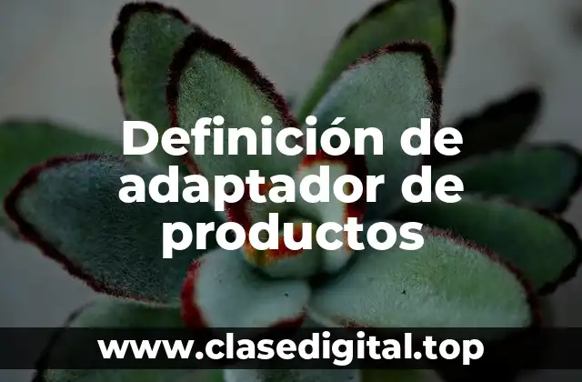 Definición de adaptador de productos