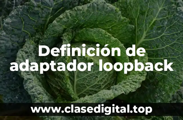 Definición de adaptador loopback
