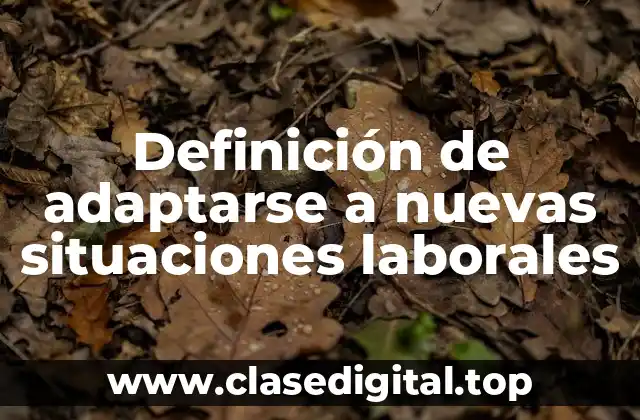 Definición de adaptarse a nuevas situaciones laborales