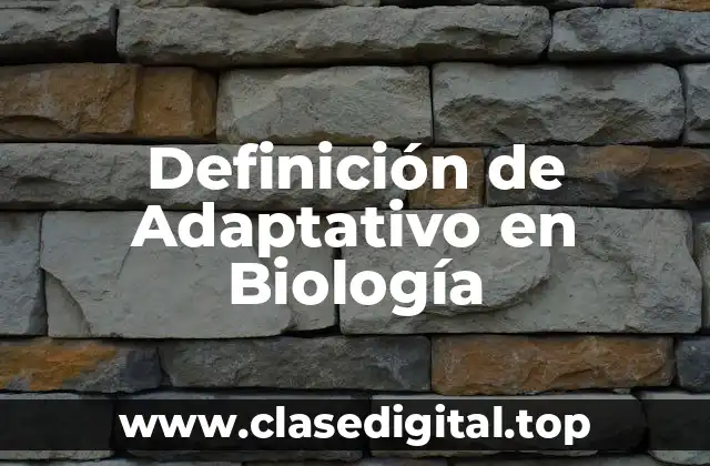 Definición técnica de Adaptativo