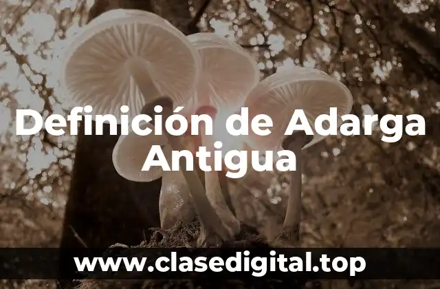 Definición de Adarga Antigua