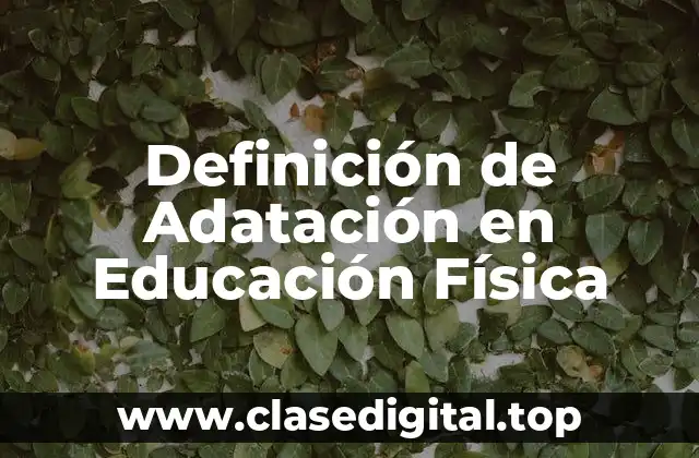 Definición de Adatación en Educación Física