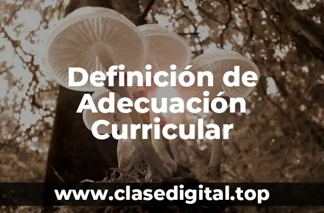 Definición técnica de Adecuación Curricular