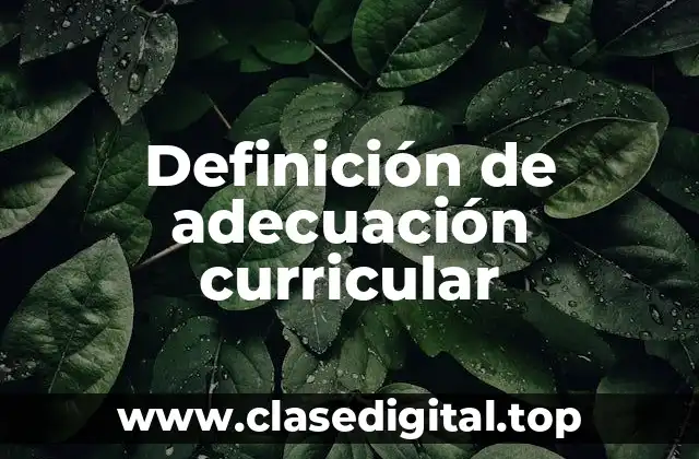Definición de adecuación curricular