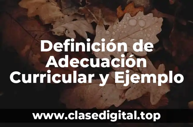 Definición de Adecuación Curricular y Ejemplo