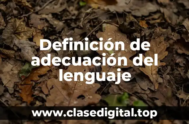 Definición de adecuación del lenguaje