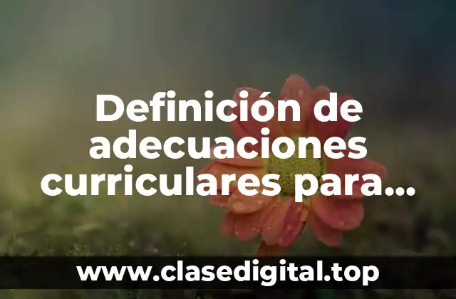 Definición de adecuaciones curriculares para niños con discapacidad motriz