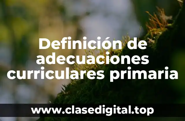Definición de adecuaciones curriculares primaria