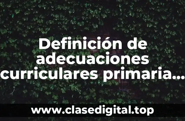 Definición de adecuaciones curriculares primaria redalyc