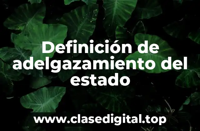 Definición de adelgazamiento del estado