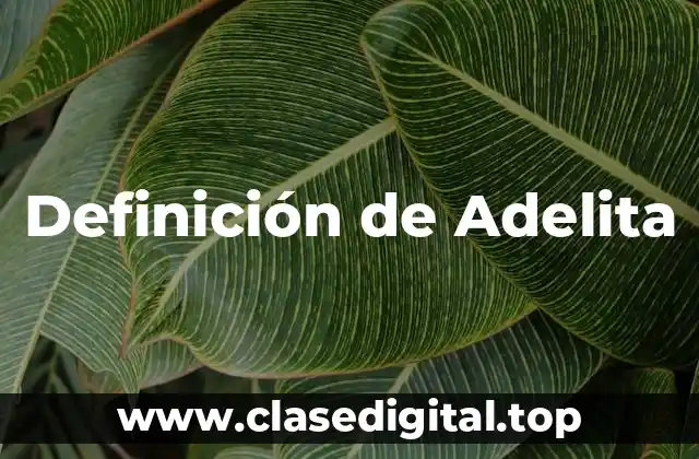 Definición de Adelita
