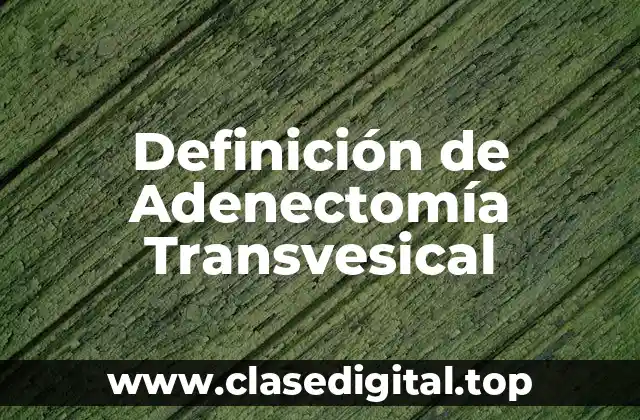 Definición Técnica de Adenectomía Transvesical