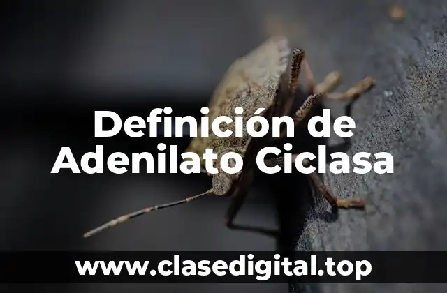 Definición de Adenilato Ciclasa