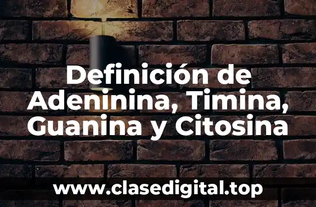 Definición de Adeninina, Timina, Guanina y Citosina