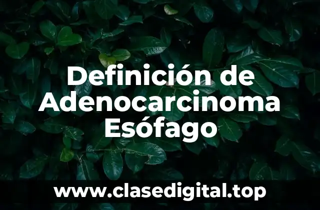 Definición de Adenocarcinoma Esófago