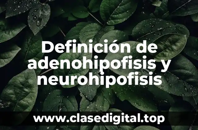 Definición de adenohipofisis y neurohipofisis