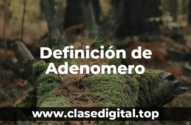 Definición de Adenomero