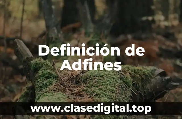 Definición técnica de Adfines