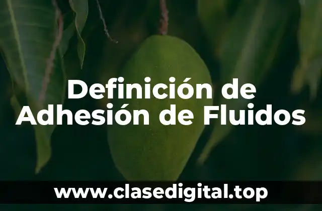 Ejemplos de Adhesión de Fluidos